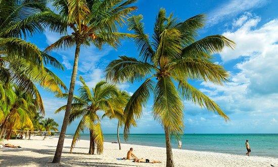 Key west palm trees and beach.